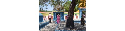திருவாமூர்